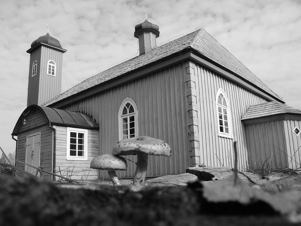 the_polish_tatars_l_bohdanowicz